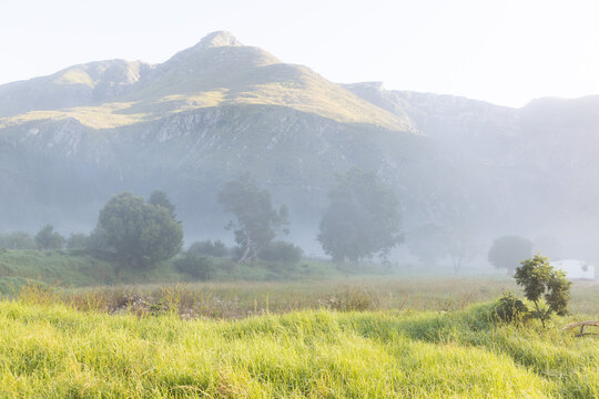 early morning fog, Swellendam, South Africa