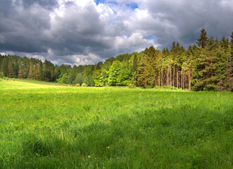Wide green glade surrounded by a lush forest under a framatic stormy sky. Quiet spring day in the nature. © puchan