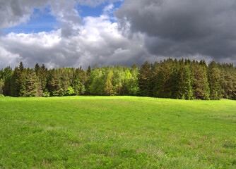 Wide green glade surrounded by a lush forest under a framatic stormy sky. Quiet spring day in the nature. © puchan