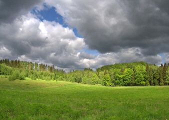 Wide green glade surrounded by a lush forest under a framatic stormy sky. Quiet spring day in the nature. © puchan