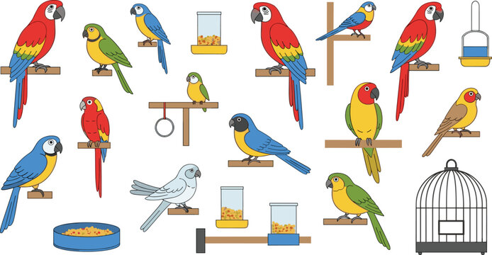 Professional Pet Birds and Parrots Vector Set Featuring Diverse Macaws Cockatiels Lovebirds Cages and Bird Food Isolated on White Background for Avian Designs