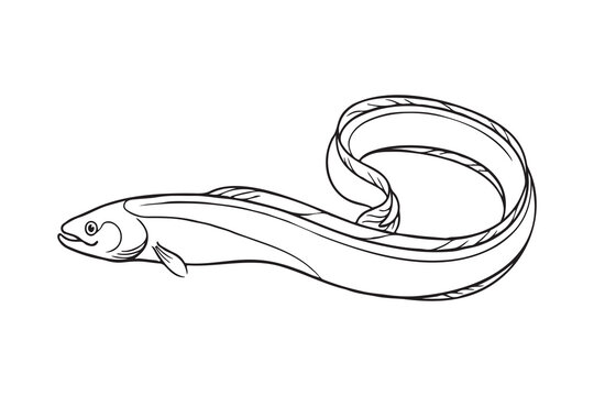 Minimalist black-and-white line drawing of a ribbonfish with elongated ribbon-like body, small head, visible mouth and eye, short pectoral fin, continuous dorsal fin along the body, and tail curving i