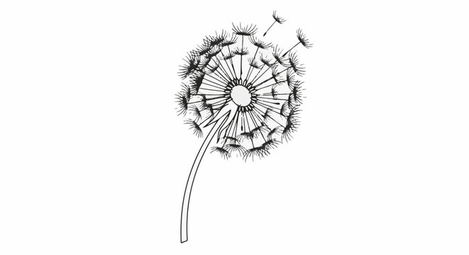 Delicate dandelion seed head with wispy seeds blowing in the breeze