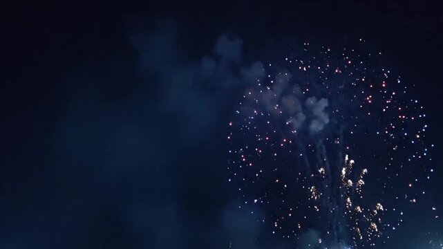 Fireworks exploding in the night sky.