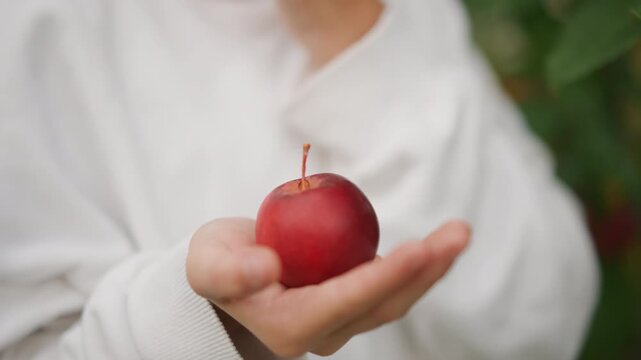 White child holding red apple closeup gentle palms in white sweater, blurred orchard foliage, serene autumn light, offering gesture like young harvester, ripe glossy skin, focus on texture and stem