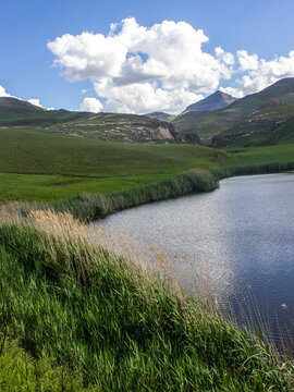 On the shoreline of the Langtoon Dam, a small lake, nestled between the mountains in the Golden Gate Highlands National Park in the Drakensberg Mountains, South Africa