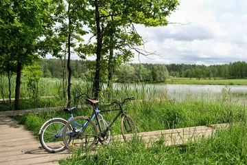 Fotobehang Beige beautiful landscape with bicycles parked in summer park. natural background for harmony, relax, meditation. travel peaceful atmosphere, unity with nature concept. World bicycle day, 3 june holiday  © Ju_see