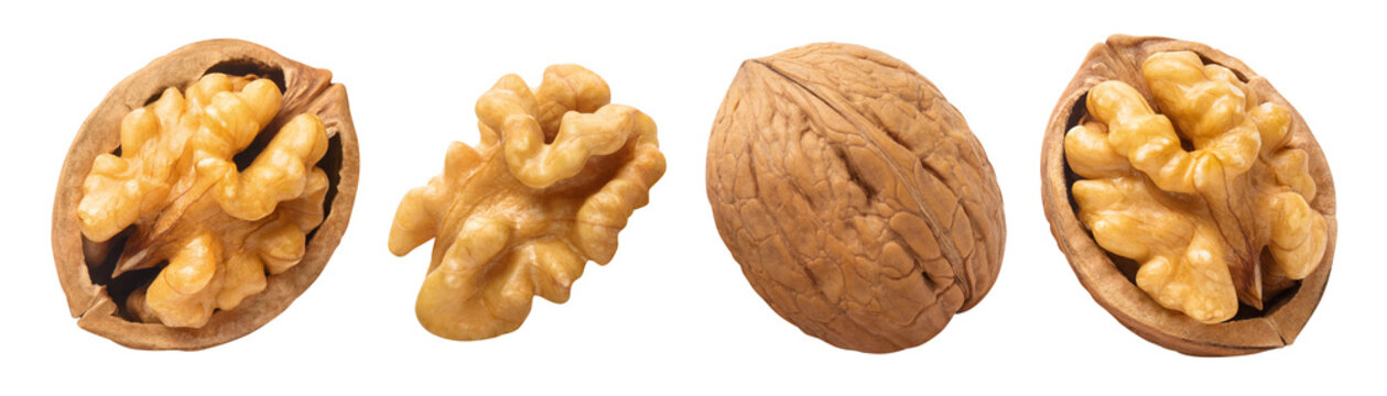 Walnut set with whole nut and cracked halves showing kernels, isolated on cutout transparent background