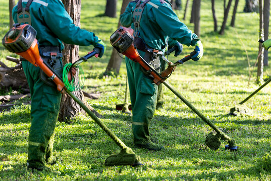 Groundskeeping crew working with grass trimmers among trees in park