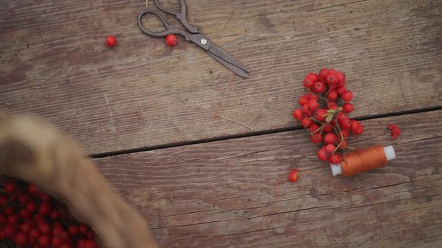 Red berries on wooden table, vintage scissors and spool of thread beside woven basket, small cluster of bright rowan berries arranged into seasonal decoration weathered wood grain, warm earthy tones,