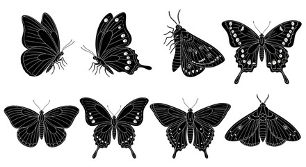 Collection of monochrome butterflies and moths in various poses © Creator Rima  Akter