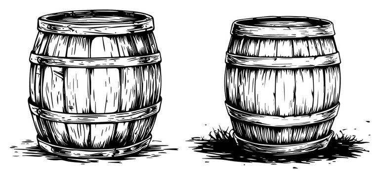 Wooden barrels set for wine or whiskey storage hand drawn engraving style for brewery logo