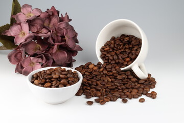 Fototapeta premium coffee beans and a hydrangea flower on a white background