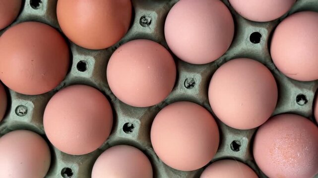 A close-up shot of fresh eggs. Fresh farm eggs of various sizes are stacked in a cardboard box.