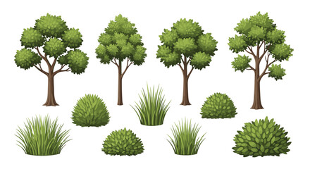 Fototapeta premium Selection of four distinct tree species and several clusters of wild grass and rounded shrubs featuring detailed leaf textures on a white background.