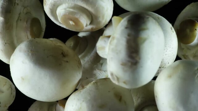 Champignons in the Kitchen. Button mushrooms thrown up into the lens on a black background. Pieces hang in the air and gradually disappear in the dark