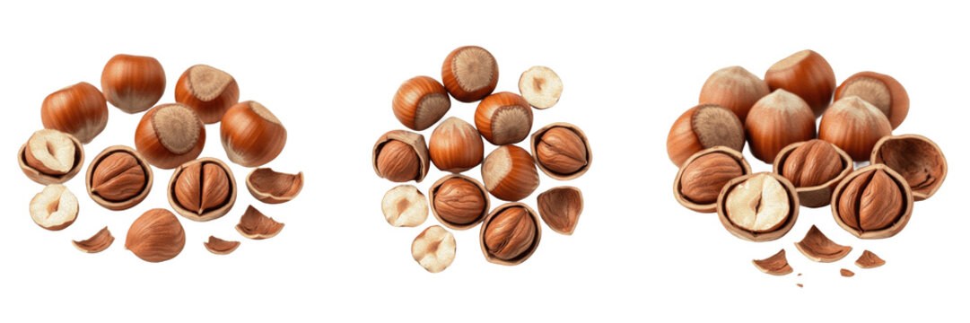 Group of Raw Hazelnuts PNG, Natural Organic Nut Snack, High-Quality Food Ingredient Isolated on Transparent Background for Healthy Recipes.