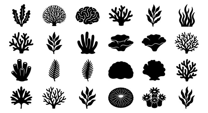 Black coral icons set, 24 underwater sea plant silhouettes, marine reef vegetation vector elements, aquatic seaweed and kelp illustrations