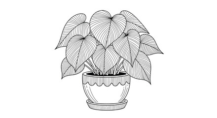 A detailed black and white illustration of a lush philodendron plant in a decorative pot © MDGOLAM
