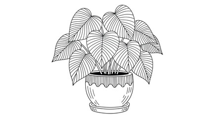 A detailed black and white illustration depicts a heart shaped philodendron plant in a decorative pot © MDGOLAM