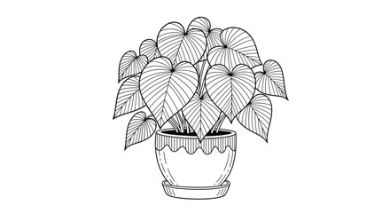 A detailed black and white illustration of a philodendron plant in a decorative pot © MDGOLAM