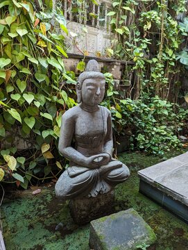 religion escultura asia budismo plantas