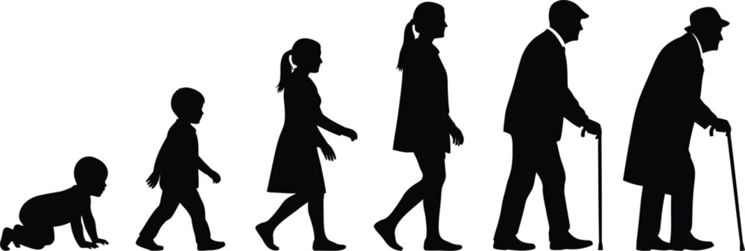 Human life cycle silhouette from infancy to old age progression