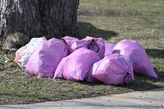 Pinkish Garbage Bags