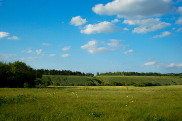 Fototapeta premium Open field with blue sky and clouds above green landscape in summer