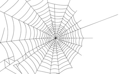 Obraz premium Realistic white spider web with fine intricate lines spread across the frame against a plain white background.