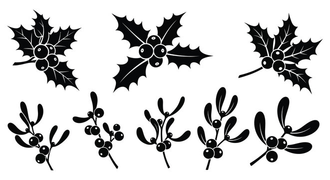 Black and white holly and mistletoe botanical illustrations a silhouette