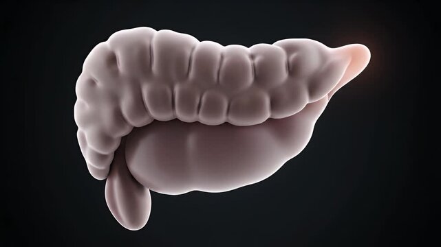 CGI Medical Animation Of Pancreas Gradually Losing Internal Glow On Black Background