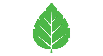 A vibrant green leaf illustration stands out against a clean white background presenting a botanical design © Shakil