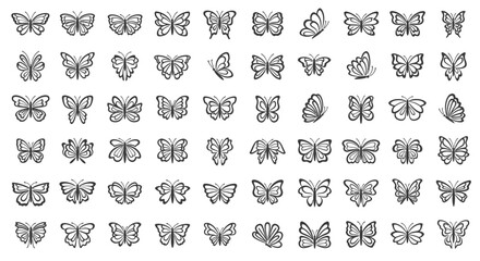 Fototapeta premium Collection of various butterfly illustrations.