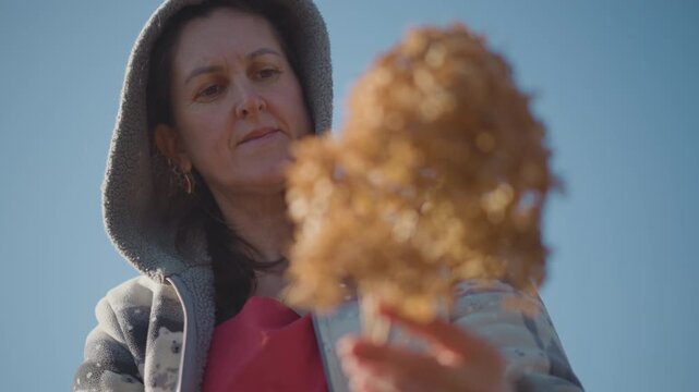 Closeup woman holding dried hydrangea, lowangle portrait against clear blue sky, wearing hoodie and patterned jacket, contemplative expression, autumn light, rustic seasonal mood, slow living garden