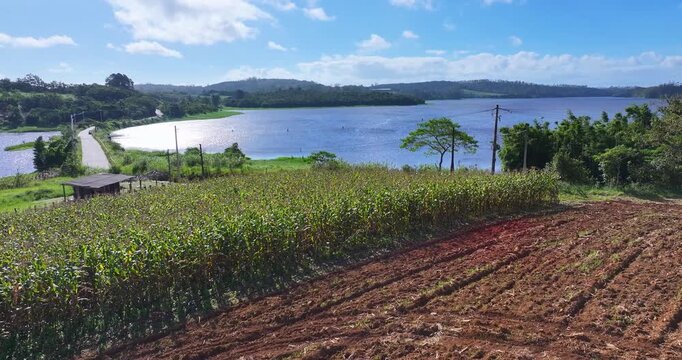 4K aerial drone view of Alto Tiete reservoir in Brazil, showing water storage, rural landscape, forests and agricultural fields under blue sky