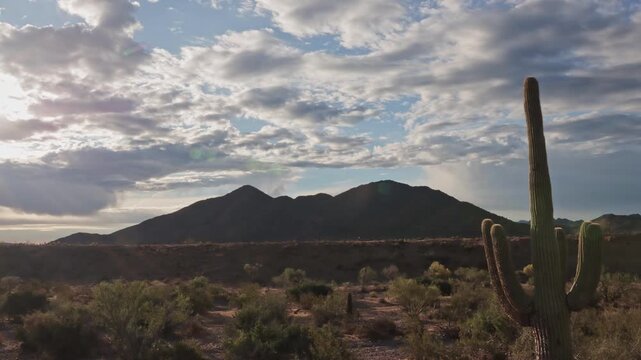 Time-Lapse Footage Of A Classic Arizona Sonoran Desert Landscape With Saguaro Cacti 