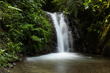 Fototapeta premium Waterfall flowing down a rocky cliff surrounded by dense forest vegetation in a fresh and natural environment.