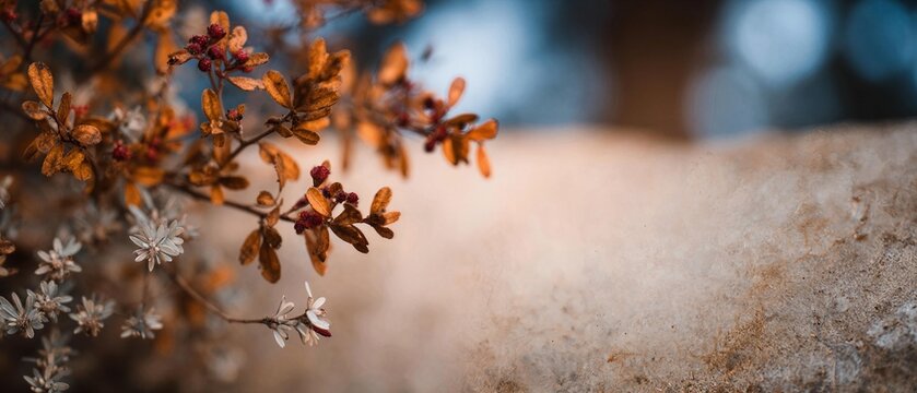 Subtle elegant horizontal background of warm vintage cream and sepia paper texture heavily foxed and aged, with a large faint ghosted watermark of a Latin cross overlaid with a soaring dove rendered
