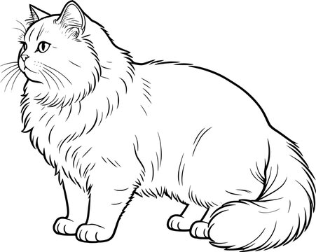 vector image of a persian cat