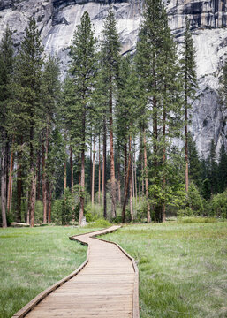 Raised wood pathway through a meadow in Yosemite National Park.