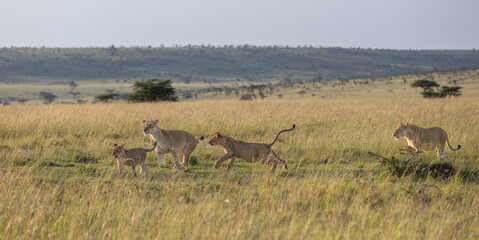 Family Outing © George Erwin Turner