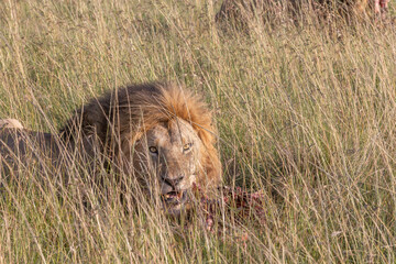MINE! © George Erwin Turner