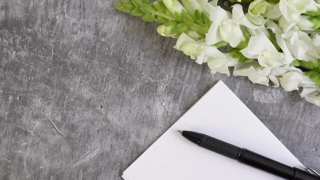 White flowers rest beside a notebook and pen. Grey concrete surface adds minimalist texture. Clean lines evoke calm focus or thoughtful work