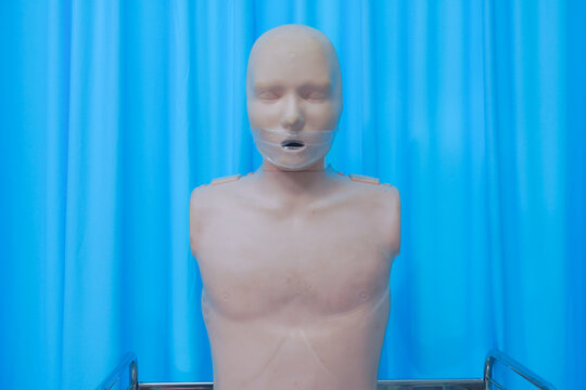 CPR Manikin for Medical Training and First Aid Practice