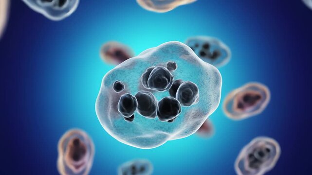 Cellular structures under microscope for commercial backgrounds, digital design, and advertising