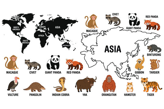 World map and asian animals infographic, vector illustration for education.