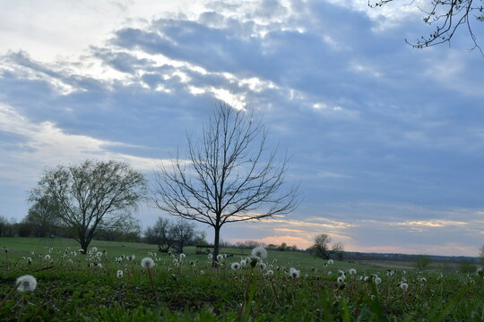 Clouds Over a Field