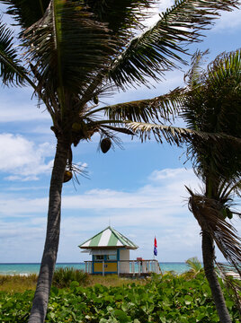 A colorful lifeguard tower on a tropical beach in Delray beach, Florida framed by palm trees and green foliage, overlooking turquoise ocean waters beneath a partly cloudy sky with red and blue safety 