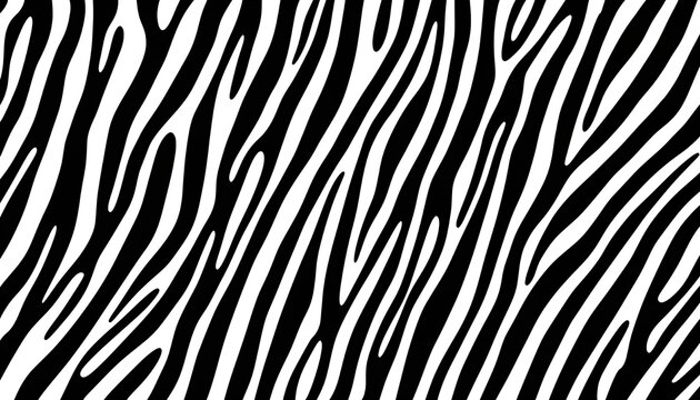 A striking black and white zebra stripe pattern fills the entire frame creating a bold visual texture